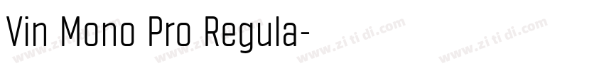 Vin Mono Pro Regula字体转换